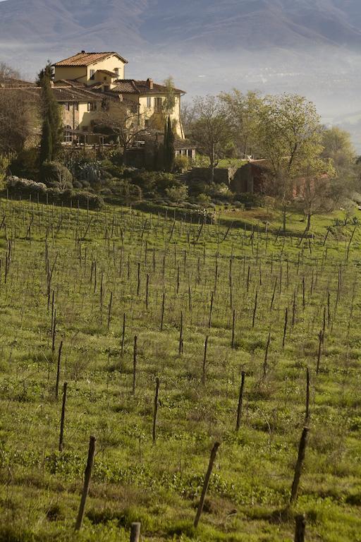 Locanda Casanuova Figline Valdarno Exteriér fotografie