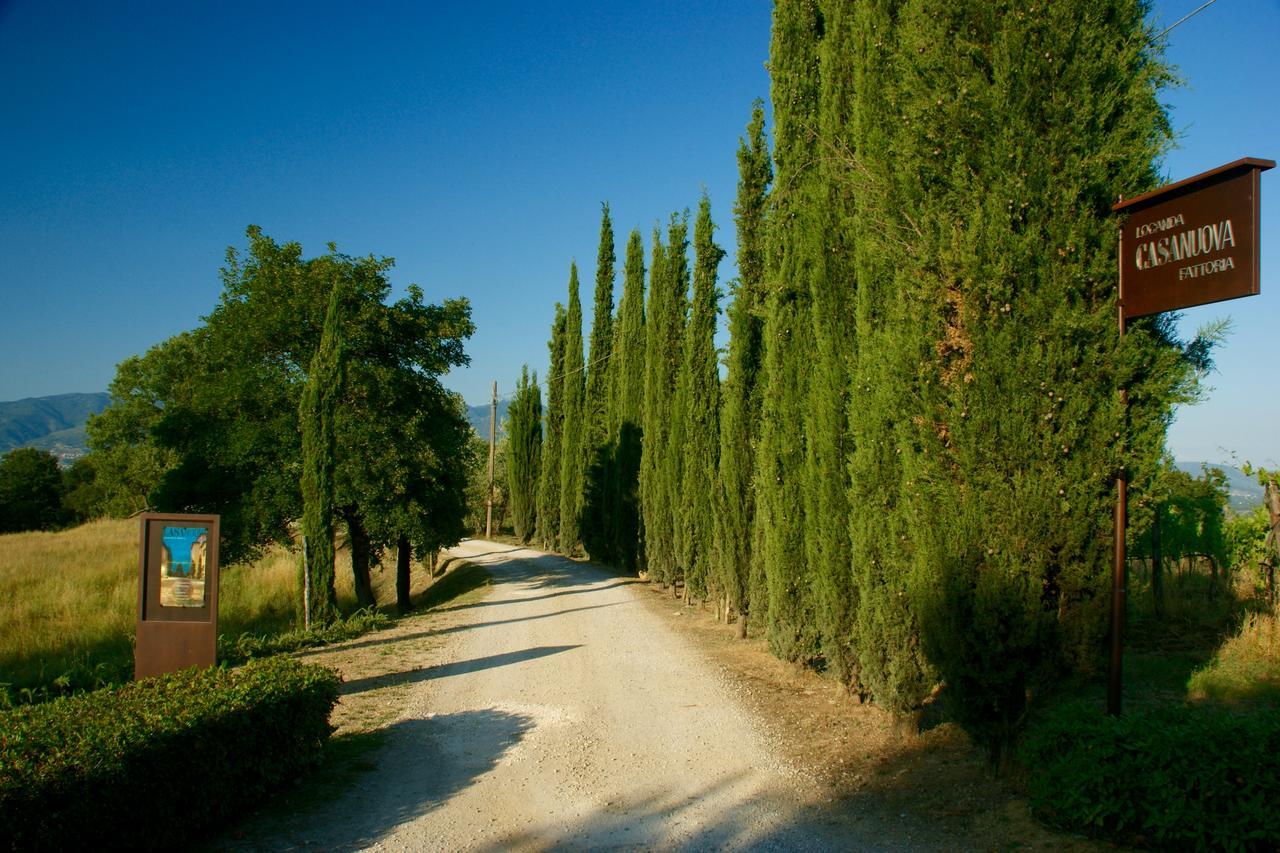 Locanda Casanuova Figline Valdarno Exteriér fotografie