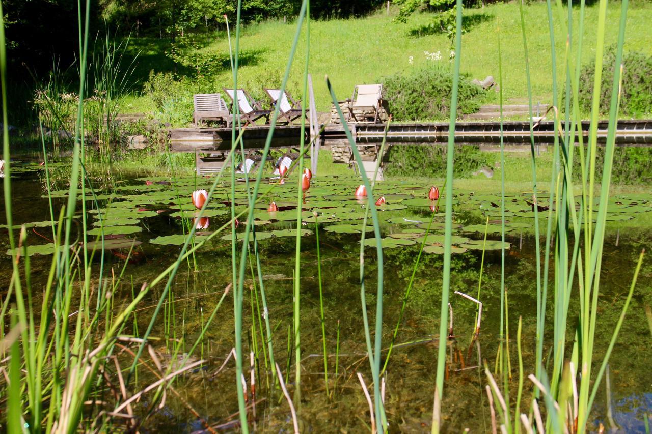Locanda Casanuova Figline Valdarno Exteriér fotografie