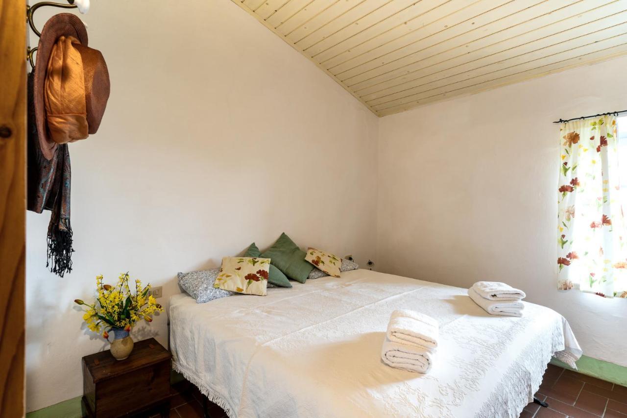 Locanda Casanuova Figline Valdarno Exteriér fotografie