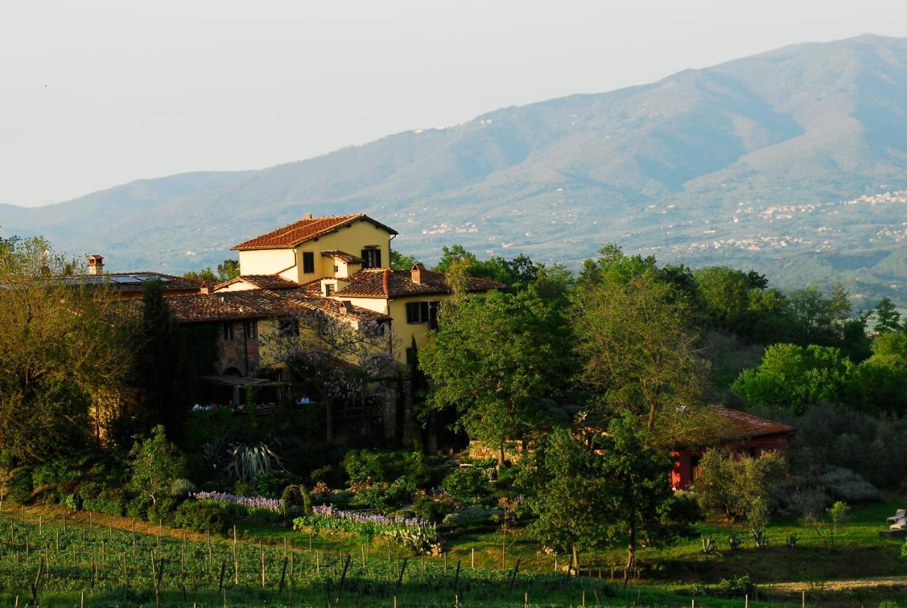 Locanda Casanuova Figline Valdarno Exteriér fotografie